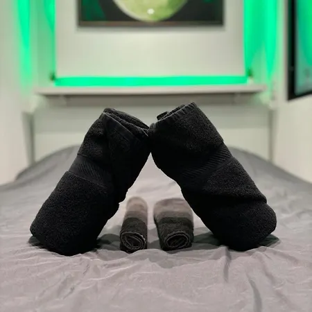 Apartment Moongreen - Euroairport - Basel - Highquality Saint-Louis (Haut-Rhin)