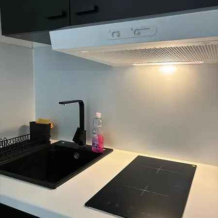 Moongreen - Euroairport - Basel - Highquality Apartmán *