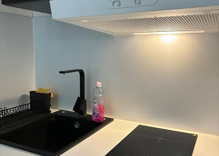 Moongreen - Euroairport - Basel - Highquality Appartement *